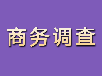 陈仓商务调查